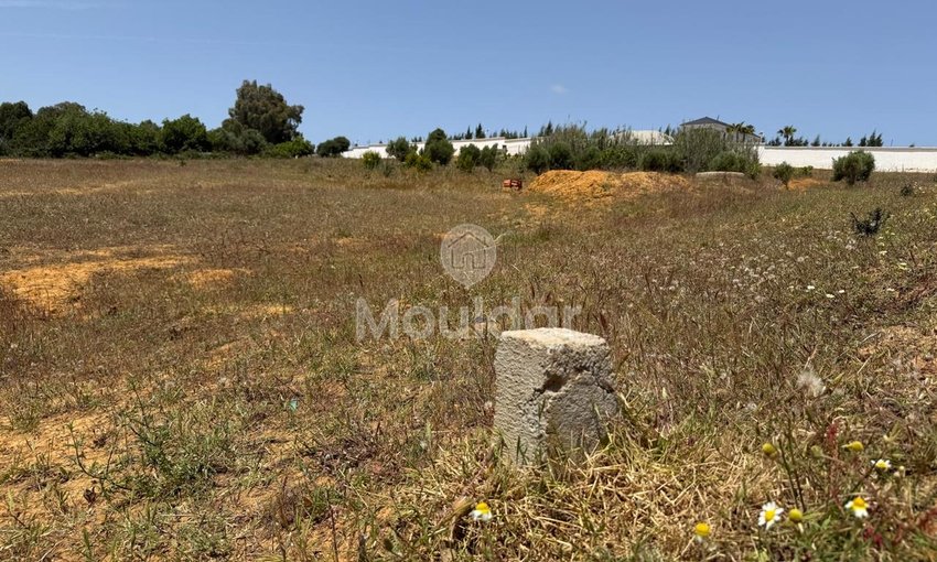 Όμορφη εξοχική κατοικία προς πώληση στην Ασίλα - Οικόπεδο 4880 m² - view 8