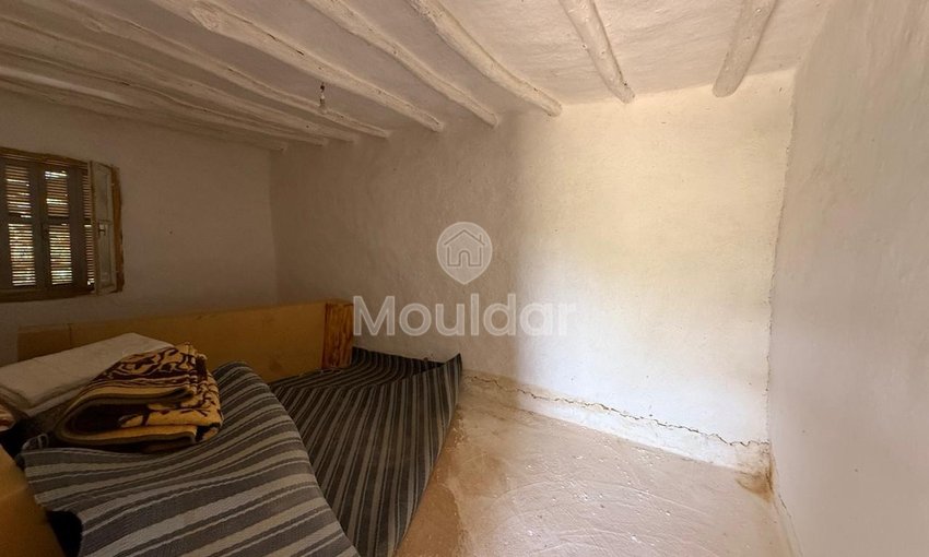 Όμορφη εξοχική κατοικία προς πώληση στην Ασίλα - Οικόπεδο 4880 m² - view 4