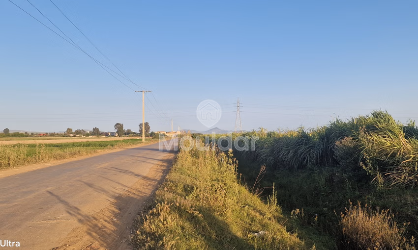 Terrain Agricole à Vendre à Ksar el-Kebir - 20,000 m²