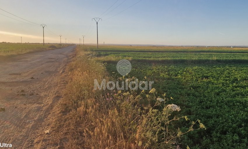 أرض زراعية للبيع في القصر الكبير - 20,000 م² - view 10