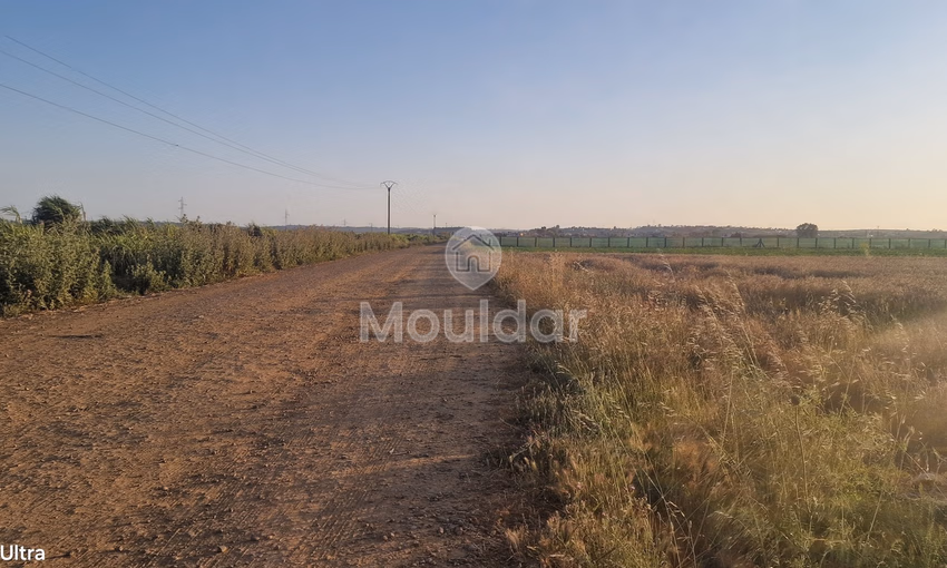 Terrain Agricole à Vendre à Ksar el-Kebir - 20,000 m²