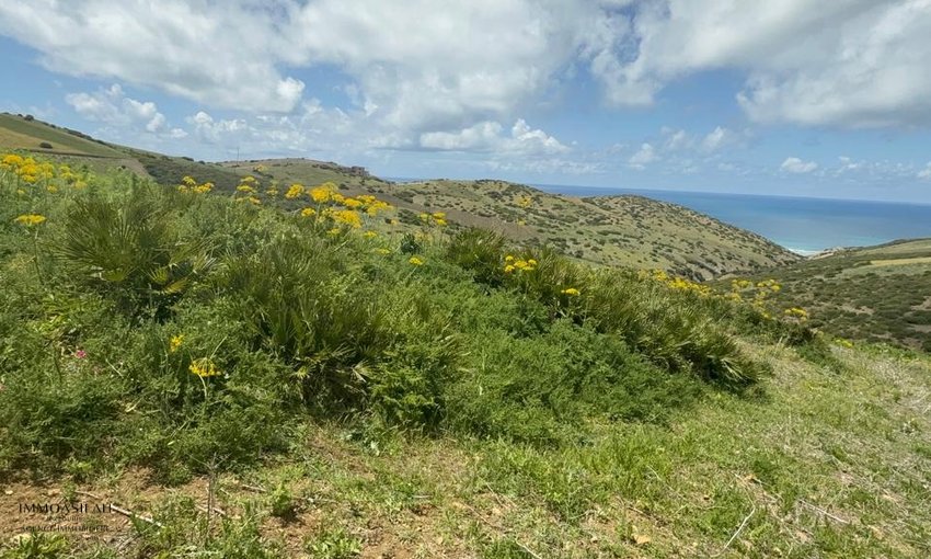 Terrain titré vue sur mer à Sidi Mghait Asilah - view 2
