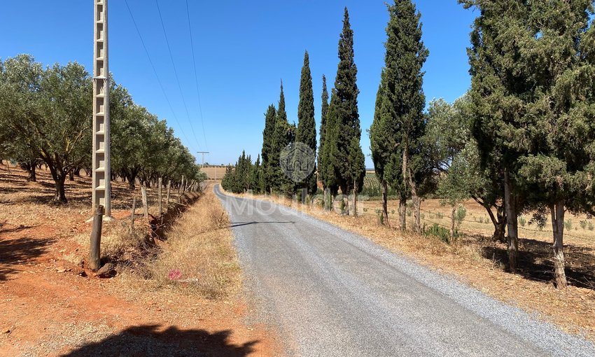 Rabat'ta satılık tarım arazisi: Benzersiz 10.000 m² fırsat - view 5
