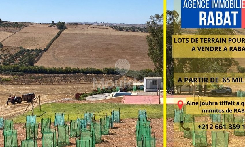 Rabat'ta satılık tarım arazisi: Benzersiz 10.000 m² fırsat - view 6