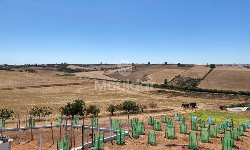Rabat'ta satılık tarım arazisi: Benzersiz 10.000 m² fırsat - view 4