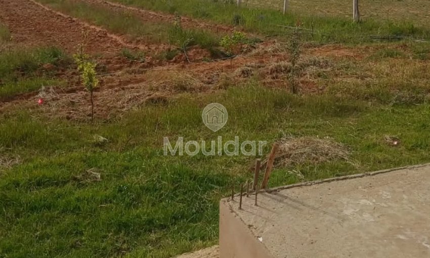 Kénitra'da satılık Tarım Mülkiyeti - Fouarate, 3100m² - view 2