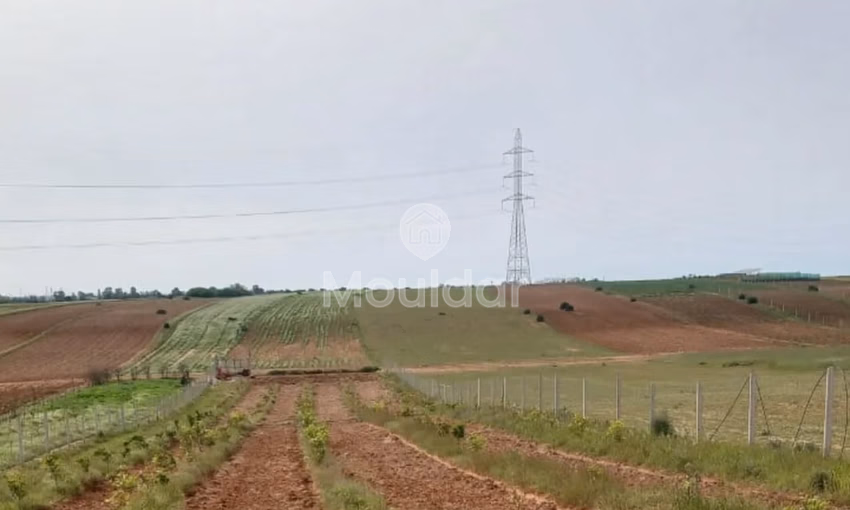 Propriété Agricole à Vendre à Kénitra - Fouarate, 3100m²