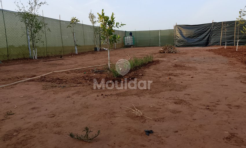 أرض زراعية للبيع في المحمدية - فرصة فريدة - view 2