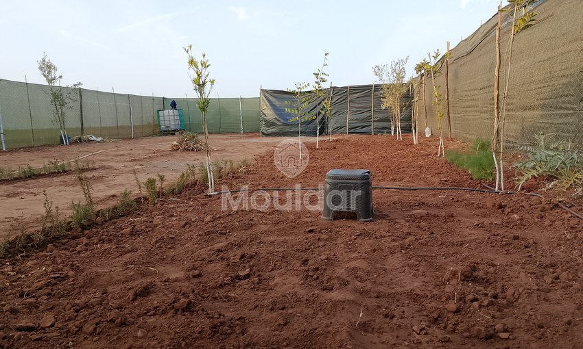 أرض زراعية للبيع في المحمدية - فرصة فريدة - view 7