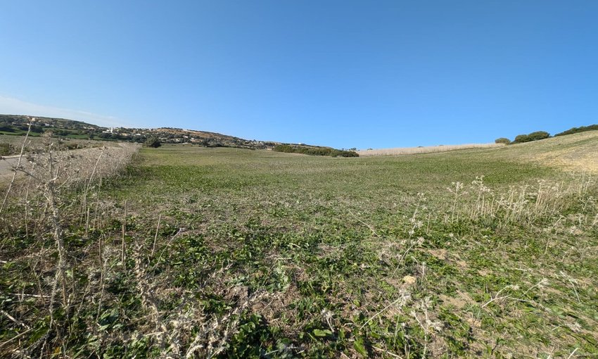 3 hectares of agricultural land for sale in Asilah - view 2
