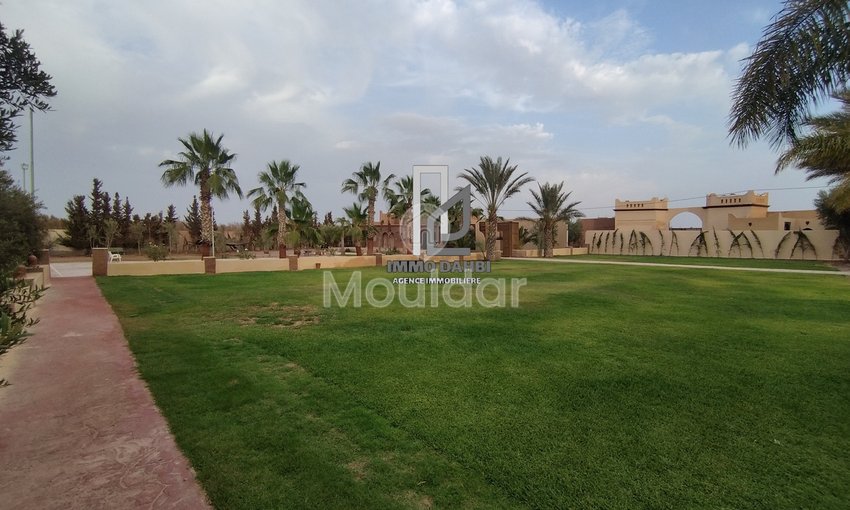 Riad do wynajęcia na wakacje w Ouled Teïma - view 13