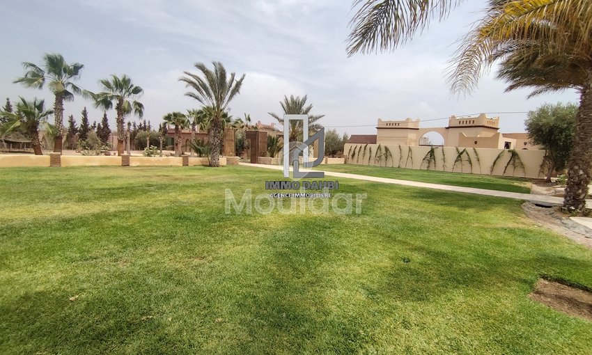Riad do wynajęcia na wakacje w Ouled Teïma - view 9