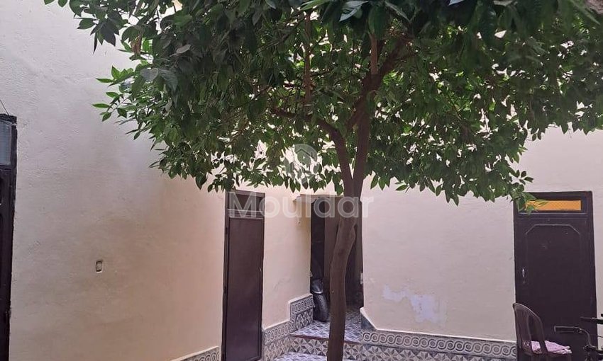 Riad na sprzedaż w Marrakech - Oaza o powierzchni 146 m² - view 6