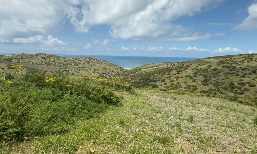 Terreno titulado con autorización de construcción - view 2