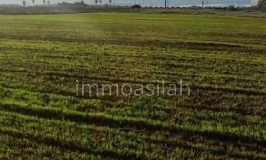 Terreno 26244 m2 para proyecto residencial frente al mar - view 3