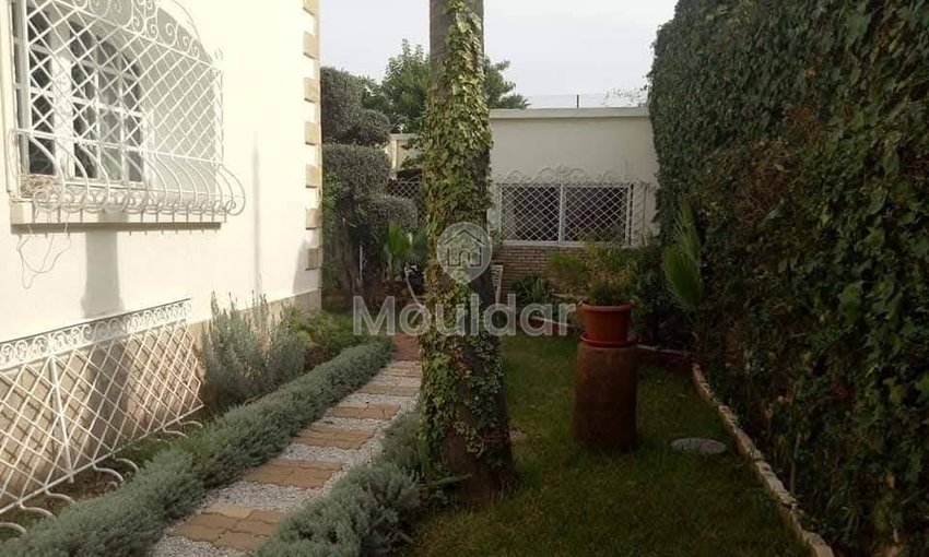 Studio fermecător de închiriat la Casablanca - Oasis, 40 m² - view 7
