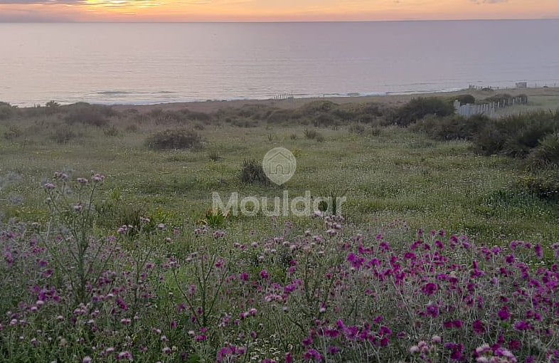 أرض للبيع في أصيلا: فرصة فيلا فريدة - view 2