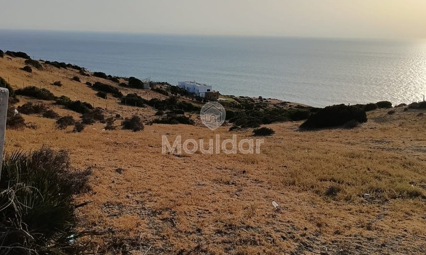 أرض للبيع في أصيلا: فرصة فيلا فريدة - view 7