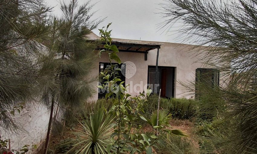 Casă fermecătoasă de închiriat în Essaouira - Ghazoua, 2 dormitoare - view 10