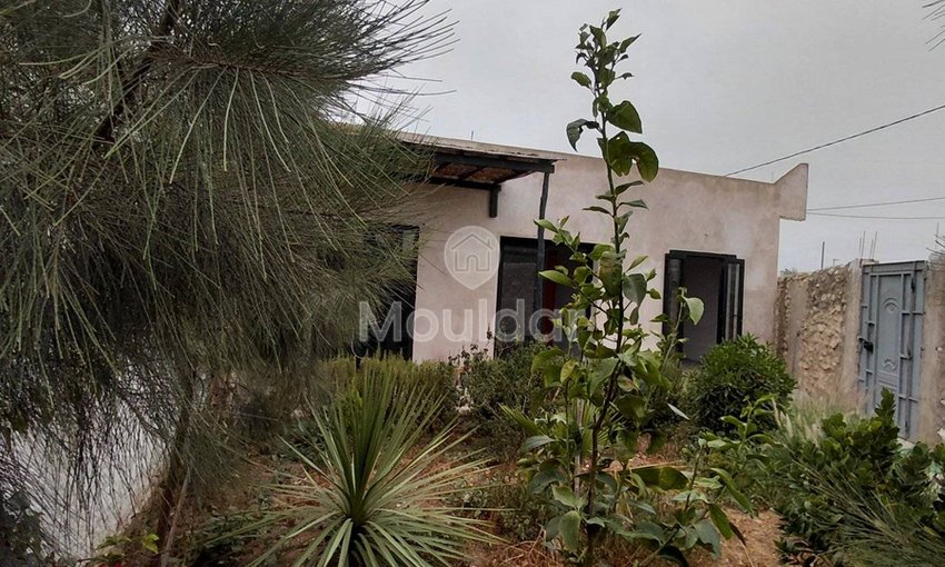 Casă fermecătoasă de închiriat în Essaouira - Ghazoua, 2 dormitoare - view 9