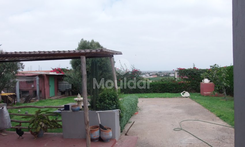 Όμορφη βίλα προς πώληση στο Ελ Τζαϊντίντα: κομψότητα και χώρος - view 16