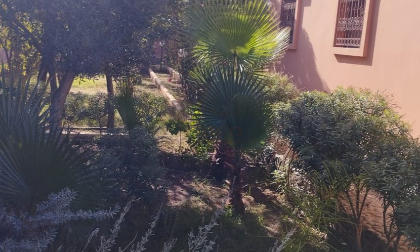 فيلا للبيع في الصويرة - 3 غرف نوم، 1000م² - view 7