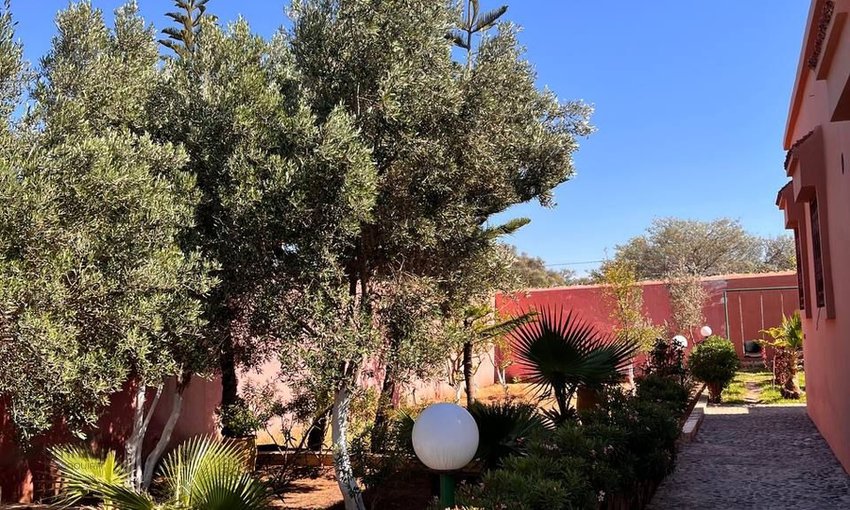 فيلا للبيع في الصويرة - 3 غرف نوم، 1000م² - view 8