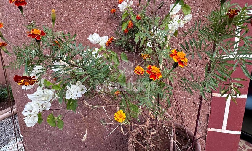 Luksusowa willa na sprzedaż w Marrakech - 4 przestronne sypialnie - view 5