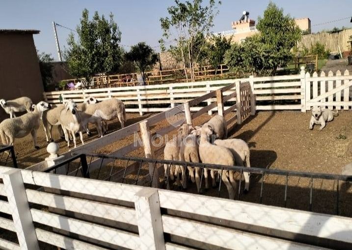 Luksusowa willa na sprzedaż w Marrakech - 4 przestronne sypialnie - view 10