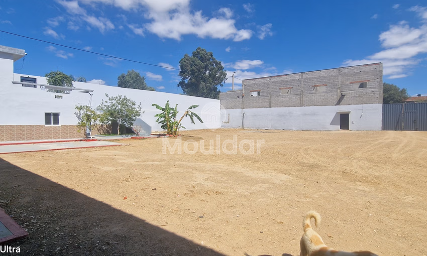 فرصة فريدة: قطعة أرض صناعية بمساحة 2400 متر مربع في القصر الكبير