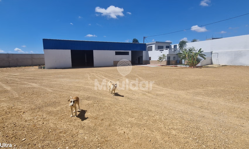 فرصة فريدة: قطعة أرض صناعية بمساحة 2400 متر مربع في القصر الكبير