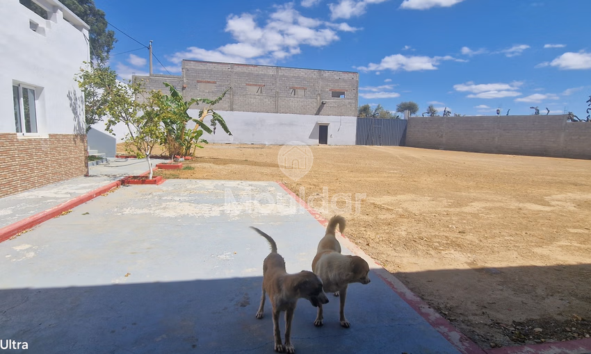 فرصة فريدة: قطعة أرض صناعية بمساحة 2400 متر مربع في القصر الكبير