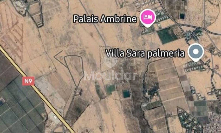 أرض زراعية للبيع في مراكش - 130,000 متر مربع للاستغلال - view 3