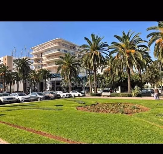 شقة رائعة للإيجار في المحمدية - حي المنتزه