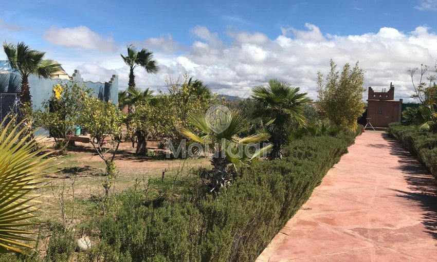 Marrakeş'te Riad Rüyası: Lüks ve Konfor Hijyenik - view 10