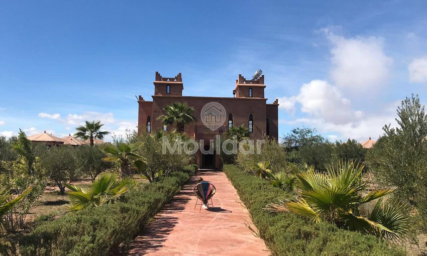 Marrakeş'te Riad Rüyası: Lüks ve Konfor Hijyenik - view 2