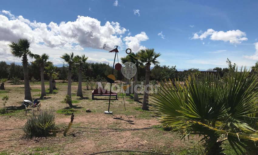 Marrakeş'te Riad Rüyası: Lüks ve Konfor Hijyenik - view 8