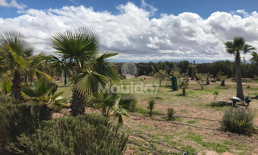 Marrakeş'te Riad Rüyası: Lüks ve Konfor Hijyenik - view 9