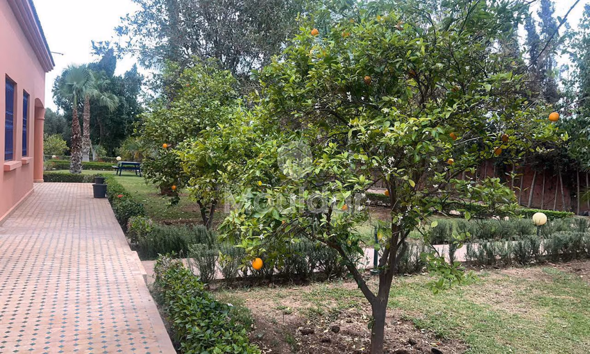 Villa de Luxe à Louer à Marrakech - Targa, 4 Chambres Villa de Luxe à Louer à Marrakech - Targa, 4 Chambres