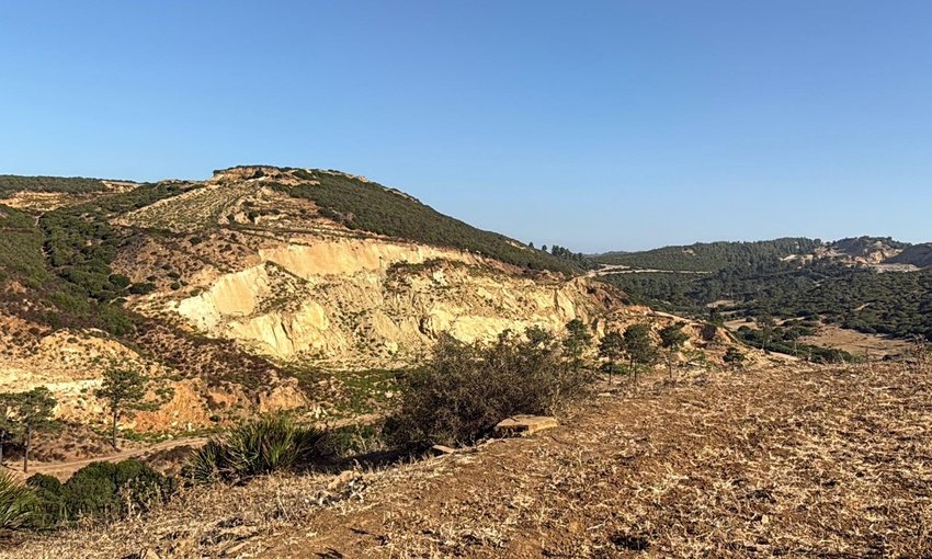 أرض 12 هكتار 6231 م² زراعية - view 2