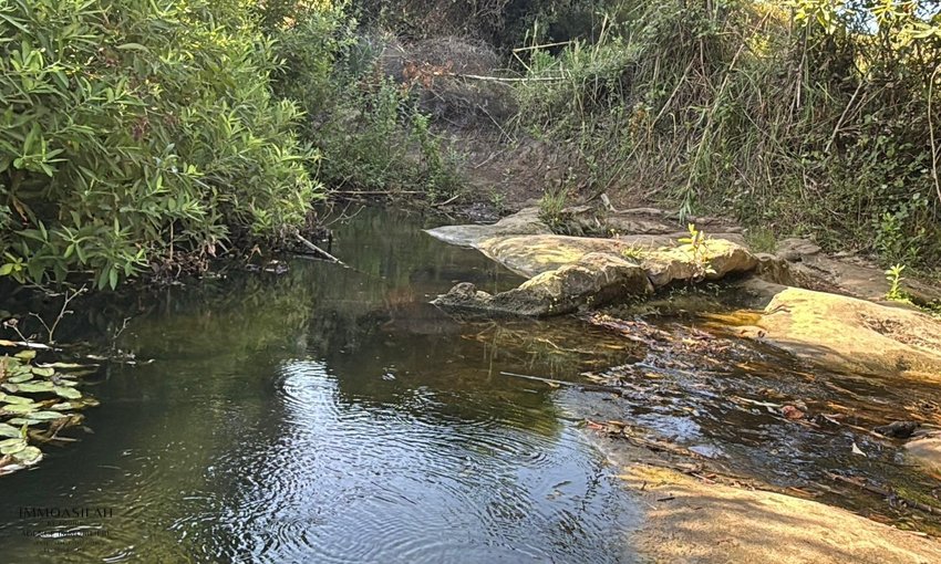 أرض 12 هكتار 6231 م² زراعية - view 6