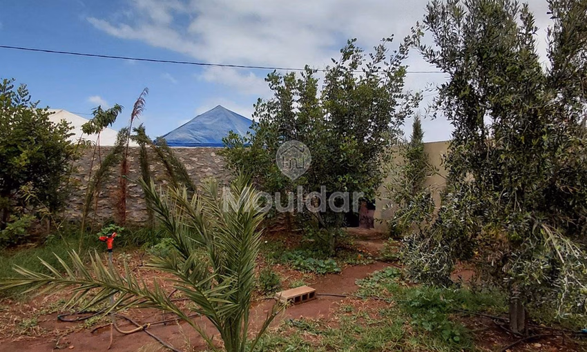 Spacious Villa for Rent in Essaouira - Ideal Escape