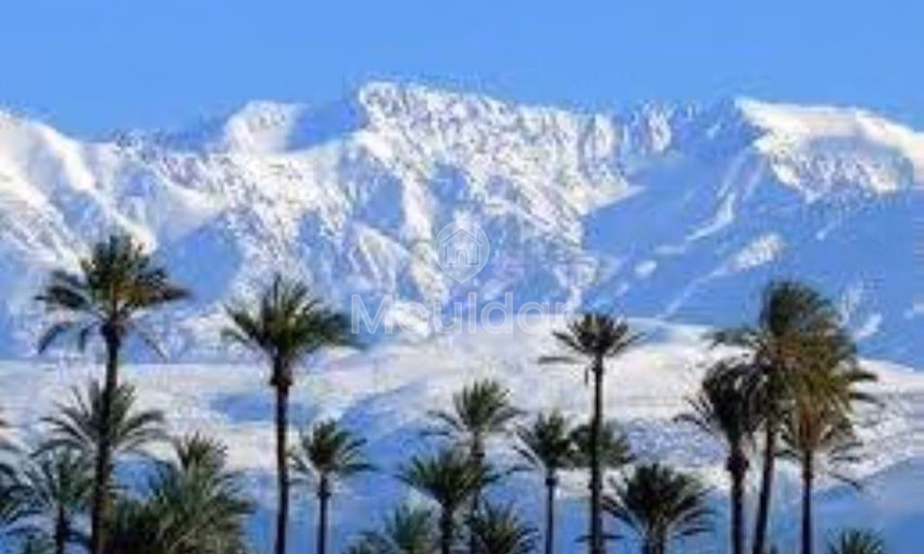 Villa de Ensueño en Marrakech: Escapada de Lujo en la Naturaleza