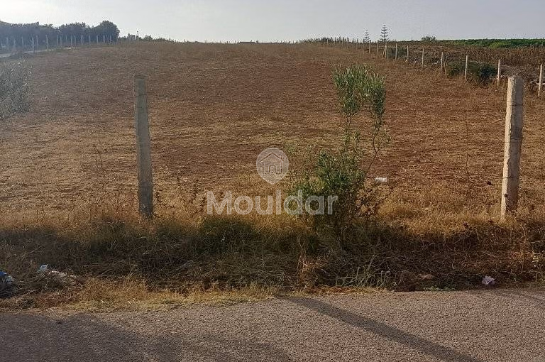 Agricultural Land for Sale in Mohammedia - 1000m²