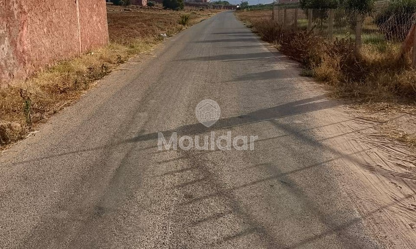 Agricultural Land for Sale in Mohammedia - 1000m²