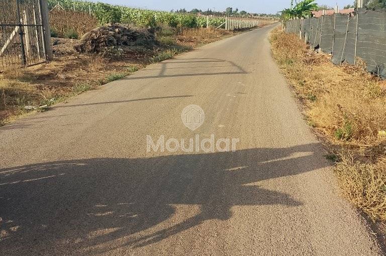 أرض زراعية للبيع في المحمدية - 1000م² - view 4