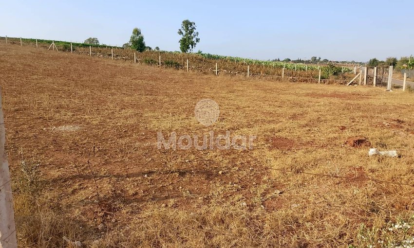 أرض زراعية للبيع في المحمدية - 1000م² - view 5