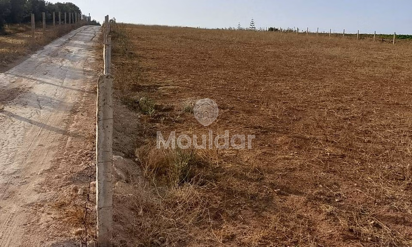 Agricultural Land for Sale in Mohammedia - 1000m²