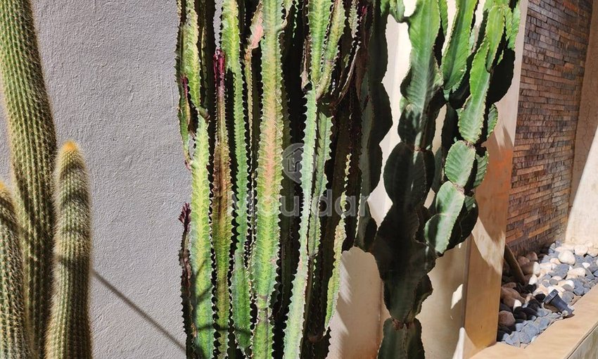  Duplex Incantevole a Marrakech Guéliz: Un soggiorno indimenticabile con 3 camere - view 22