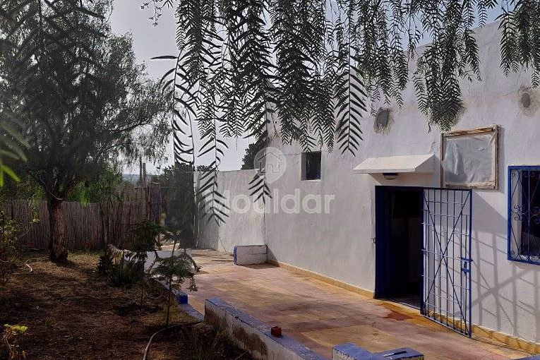 House for Rent in Essaouira: Calm and Comfort